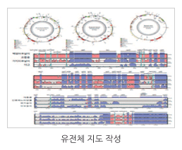 자생 생물자원의 유전자 다양성 연구 관련 이미지입니다. / 유전체 지도 작성