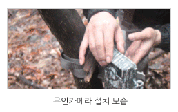 야생동물  첨단 연구사업 관련 이미지입니다. / 무인카메라 설치 모습