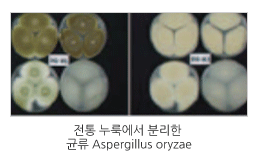 생물자원 유용성 탐색 및 발굴 관련 이미지입니다.