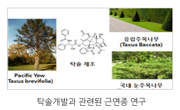 자생생물자원의 유용성 분석 및 검증 이미지입니다.