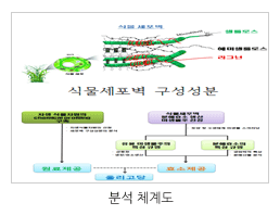 기능성 생물소재 발굴 관련 이미지입니다.