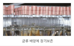 국가미생물배양체은행 운영 이미지입니다.
