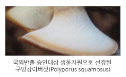 국외반출 승인대상 생물자원 선정 연구 이미지입니다.