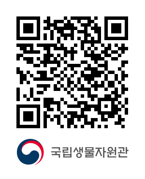 큐알코드샘플이미지