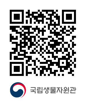 큐알코드샘플이미지