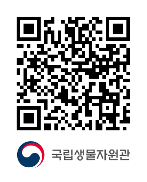 큐알코드샘플이미지
