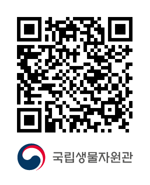 큐알코드샘플이미지