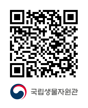 큐알코드샘플이미지
