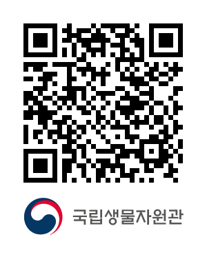 큐알코드샘플이미지