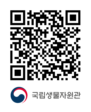 큐알코드샘플이미지