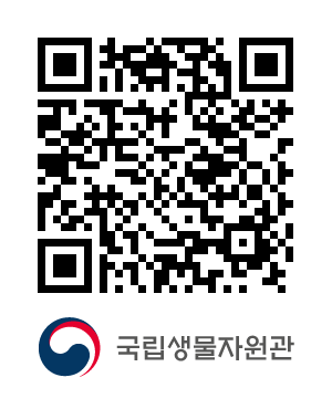 큐알코드샘플이미지