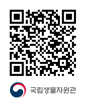 큐알코드샘플이미지