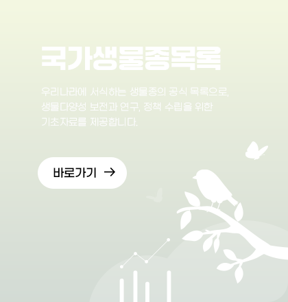 국가생물종목록 화이트