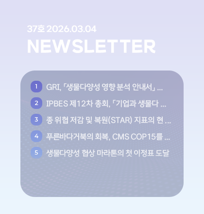 팝업존 뉴스레터