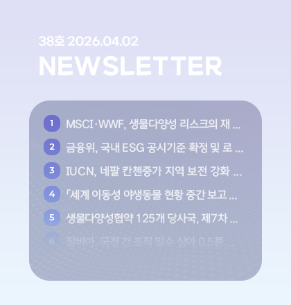 팝업존 뉴스레터