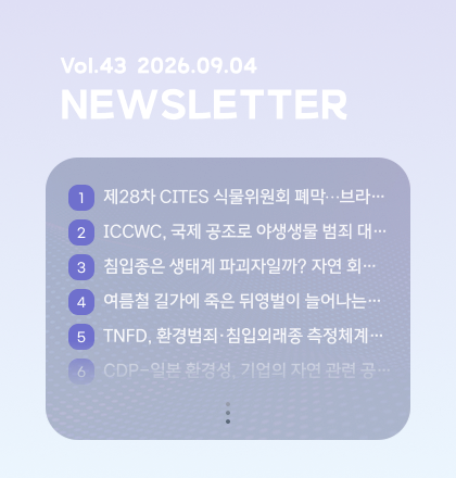 팝업존 뉴스레터