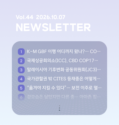 팝업존 뉴스레터